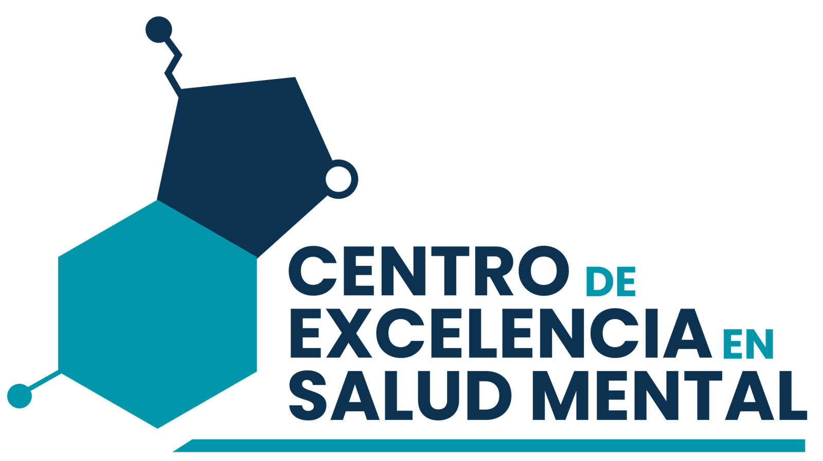 Centro de Excelencia en Salud Mental